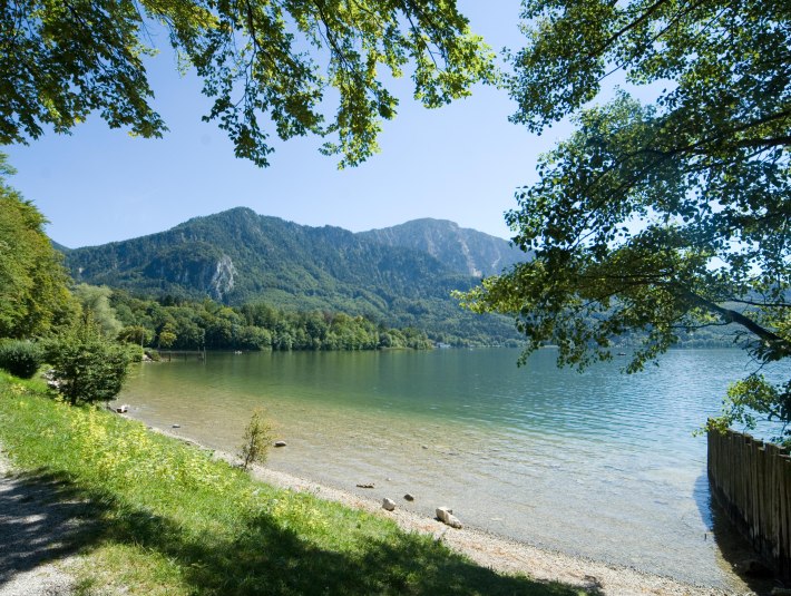 Bergblick vom Kochelsee