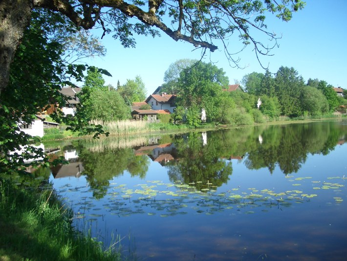 Weiher